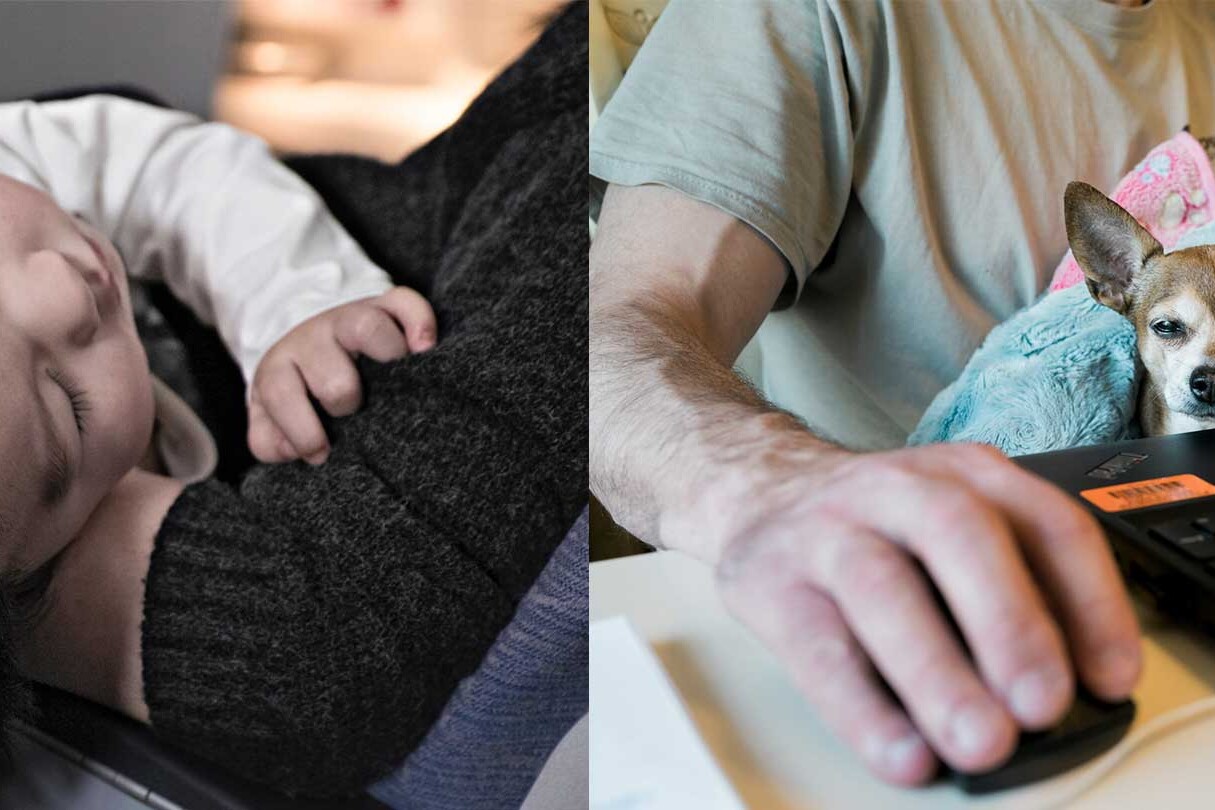 מפגש זום של אדם עם כלב